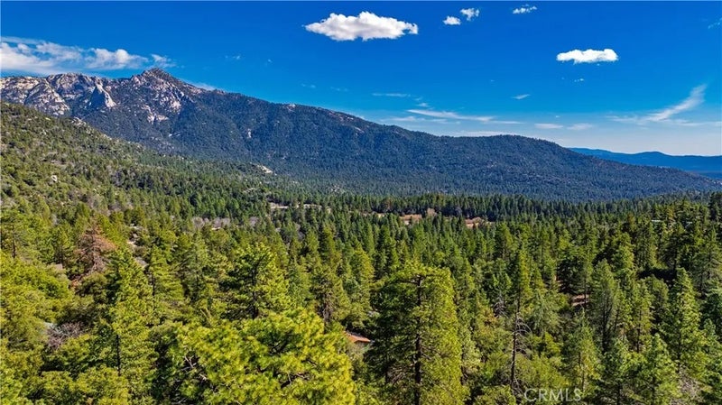 1 Mountain View