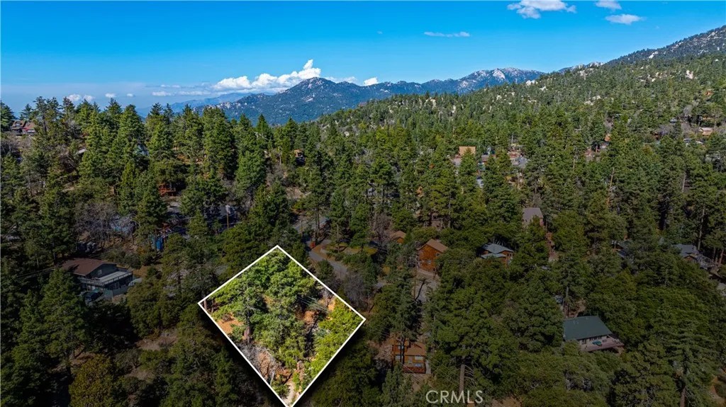 1 Mountain View
