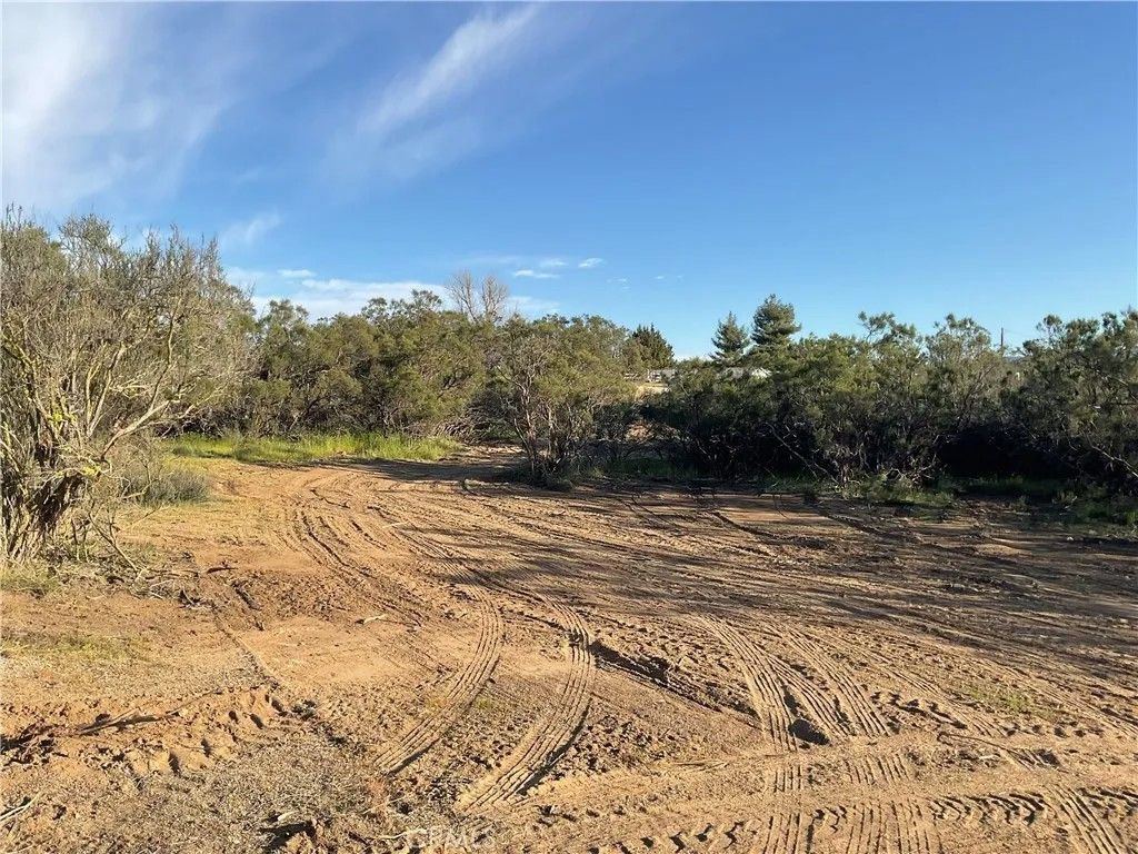 Photo of 687 Saddleback, Aguanga, CA 92536 (MLS # SW26050175)