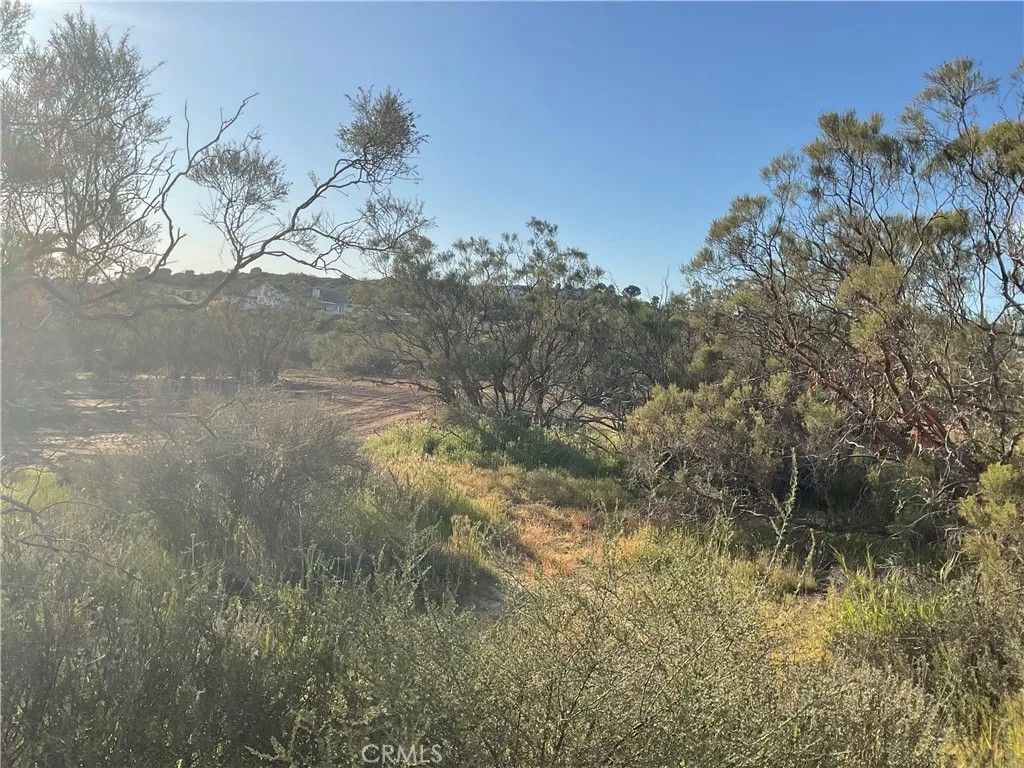 Photo of 687 Saddleback, Aguanga, CA 92536 (MLS # SW26050175)