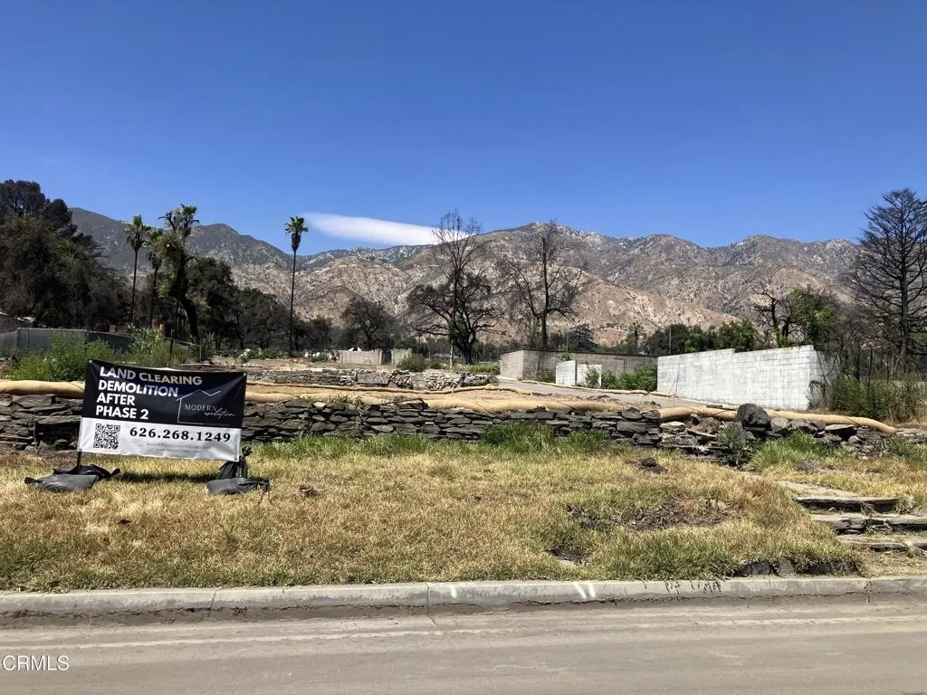 25 E Palm