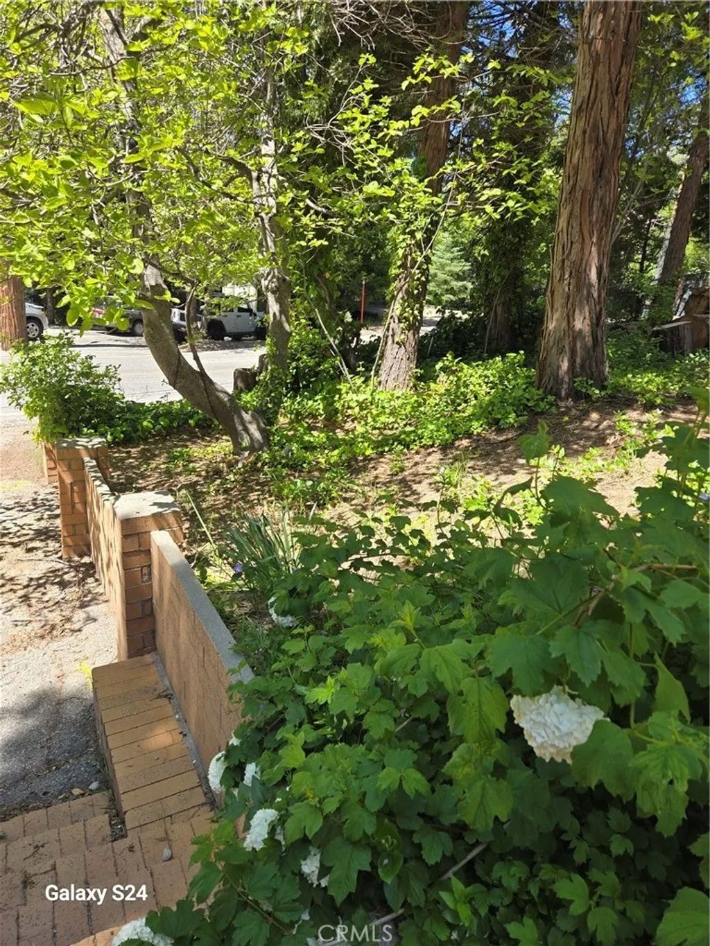 Photo of 29053 Hook Creek, Cedar Glen, CA 92321 (MLS # IG26086293)