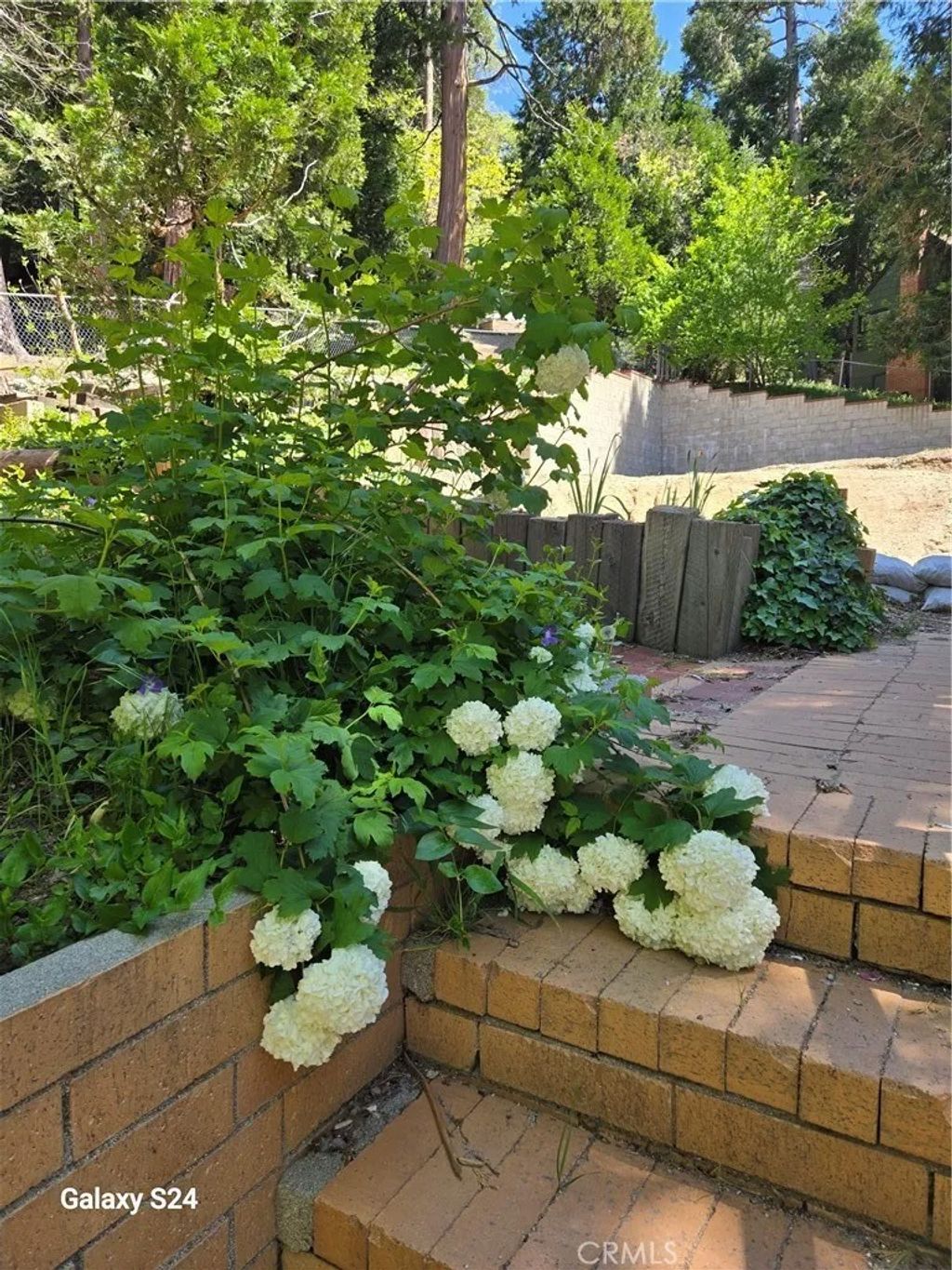 Photo of 29053 Hook Creek, Cedar Glen, CA 92321 (MLS # IG26086293)