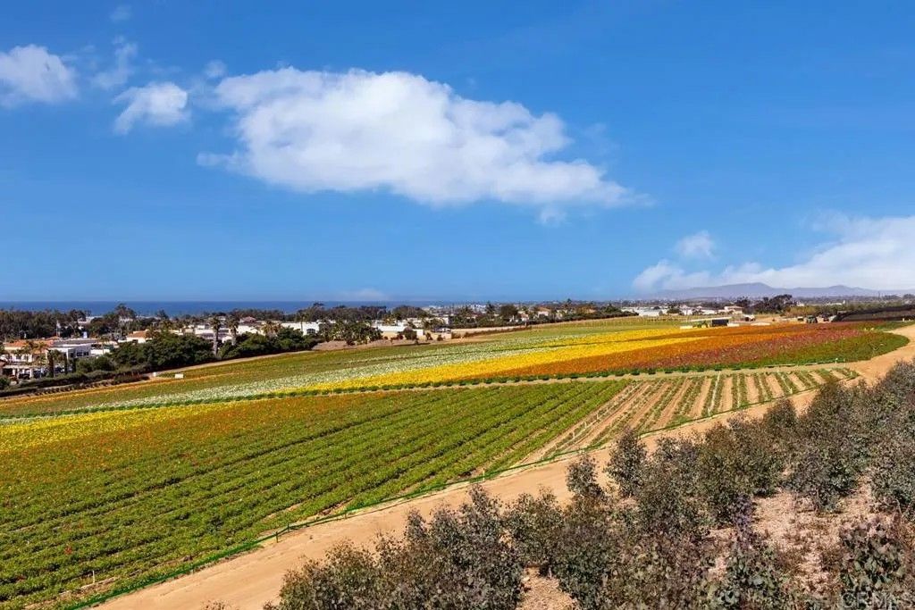 Photo of 2522 Thyme Way, Carlsbad, CA 92008 (MLS # NDP2602715)