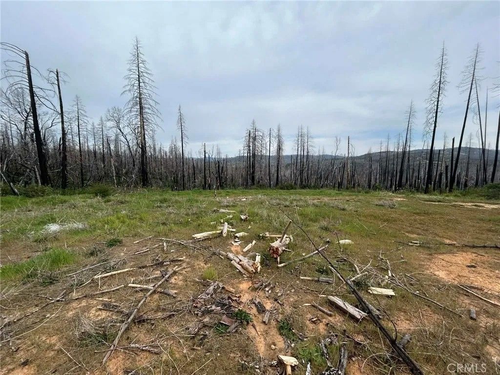 Photo of 83 Oak Tree Lane, Berry Creek, CA 95916 (MLS # OR26070066)