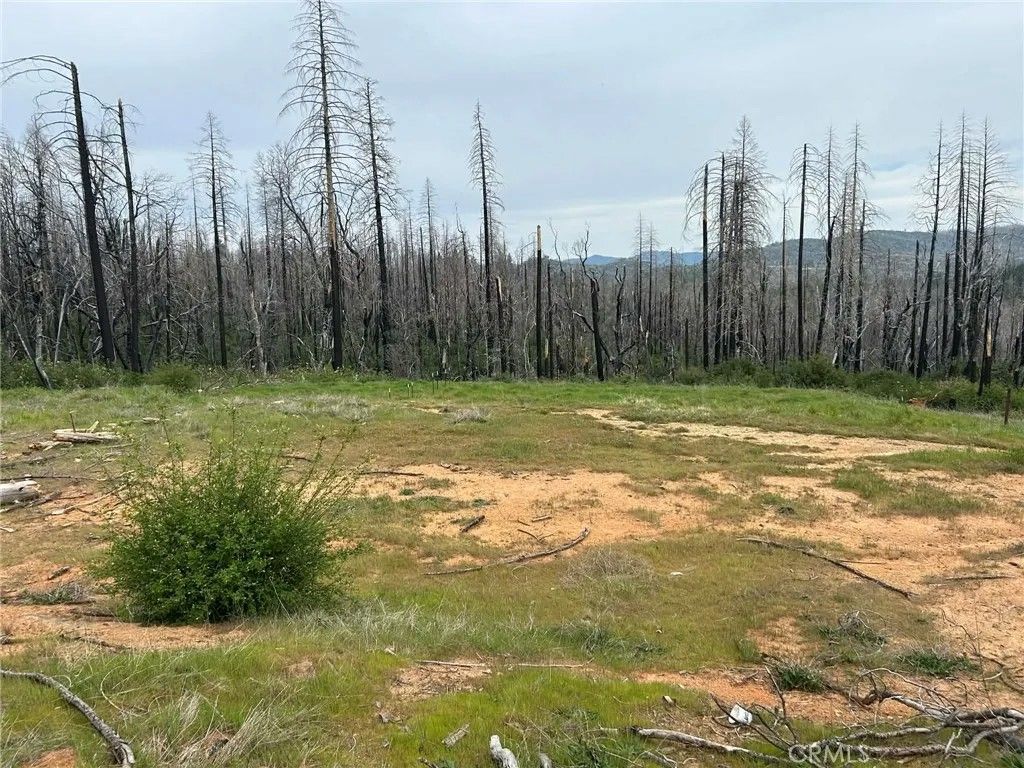 Photo of 83 Oak Tree Lane, Berry Creek, CA 95916 (MLS # OR26070066)