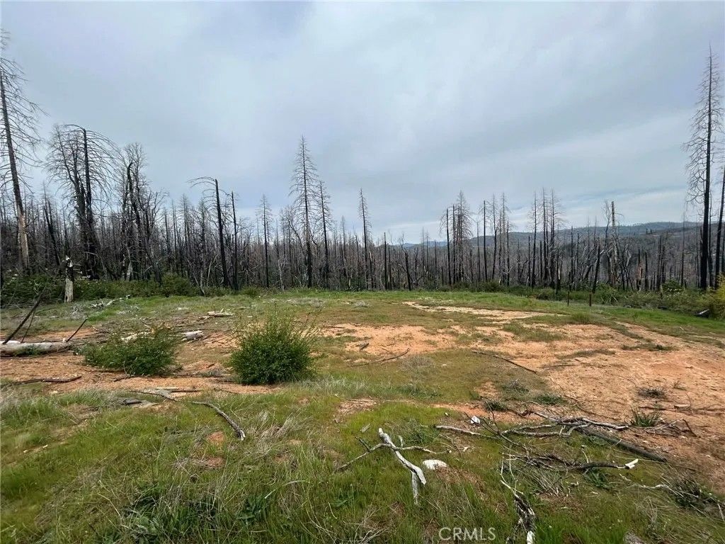 Photo of 83 Oak Tree Lane, Berry Creek, CA 95916 (MLS # OR26070066)