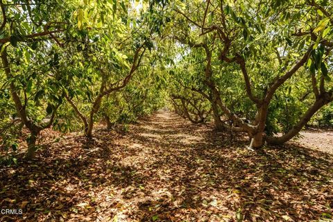 Tiny photo for 280 Cummings Road, Santa Paula, CA 93060 (MLS # V1-36244)