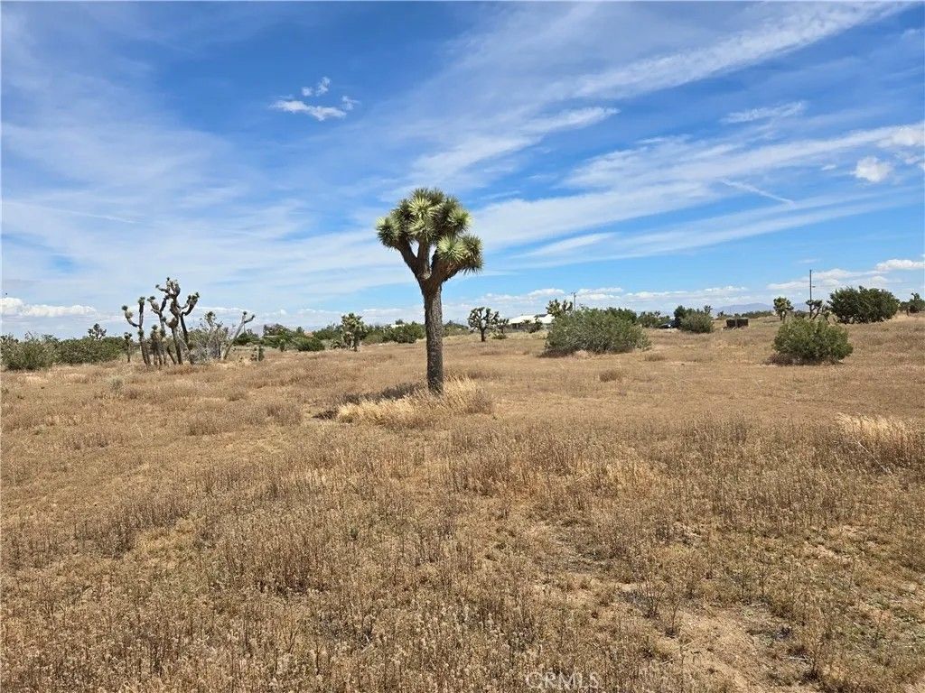 Photo of 0 Aster, Oak Hills, CA 92344 (MLS # IV26079739)