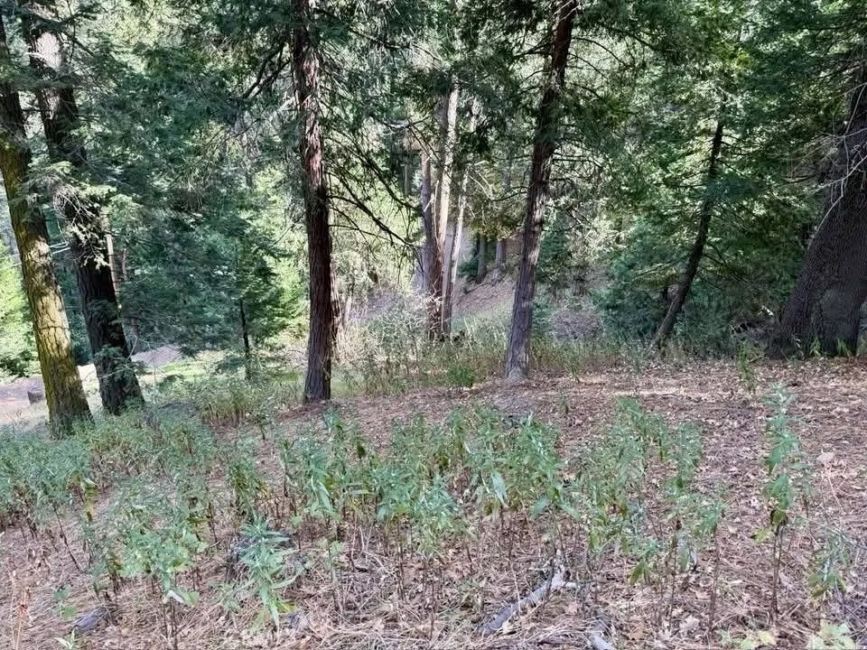 0 Burnt Mill Canyon
