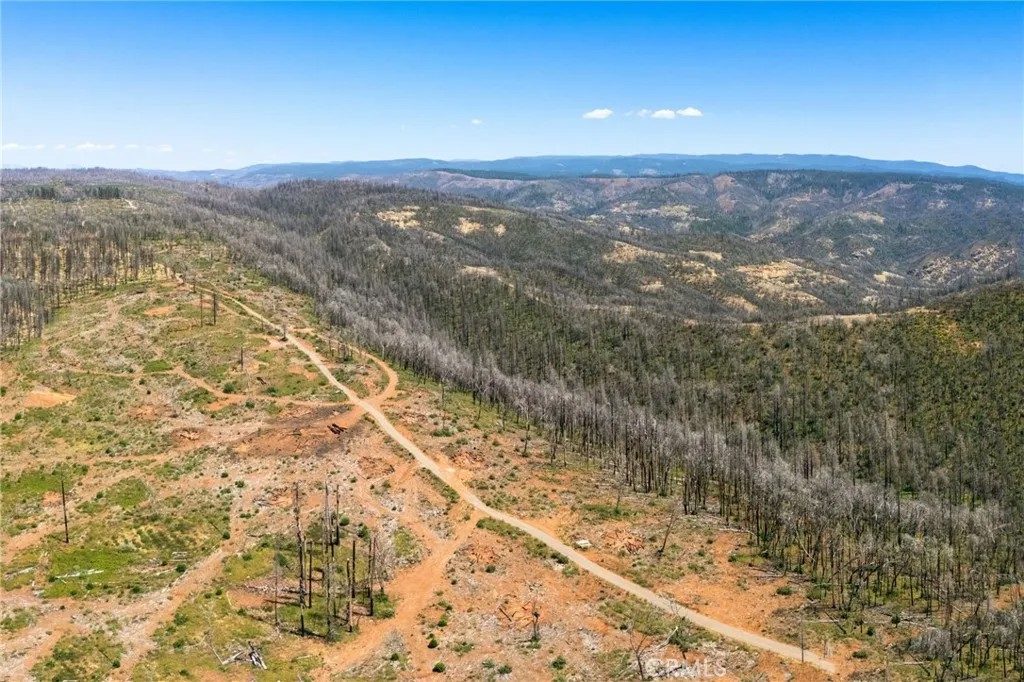 335 Mann And Nolta Ridge