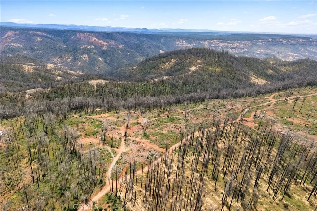 335 Mann And Nolta Ridge
