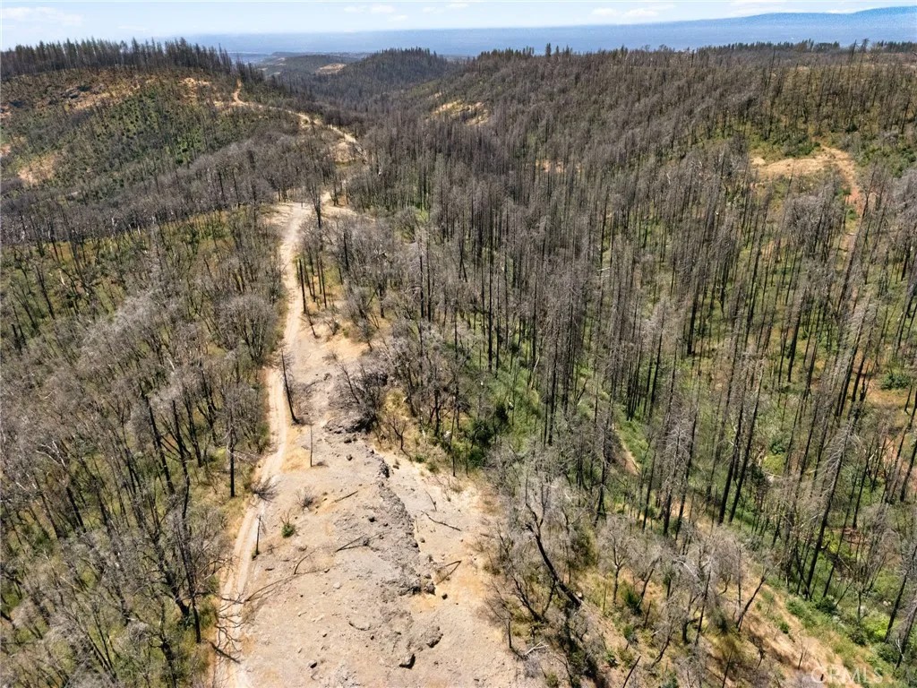 335 Mann And Nolta Ridge