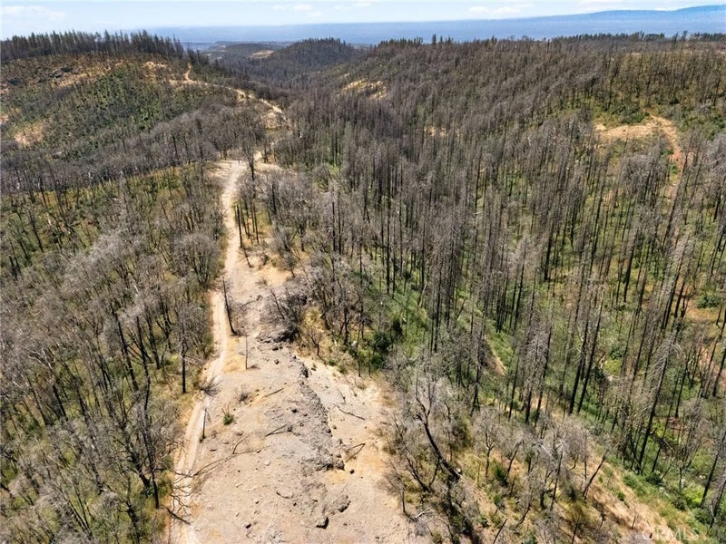 335 Mann And Nolta Ridge