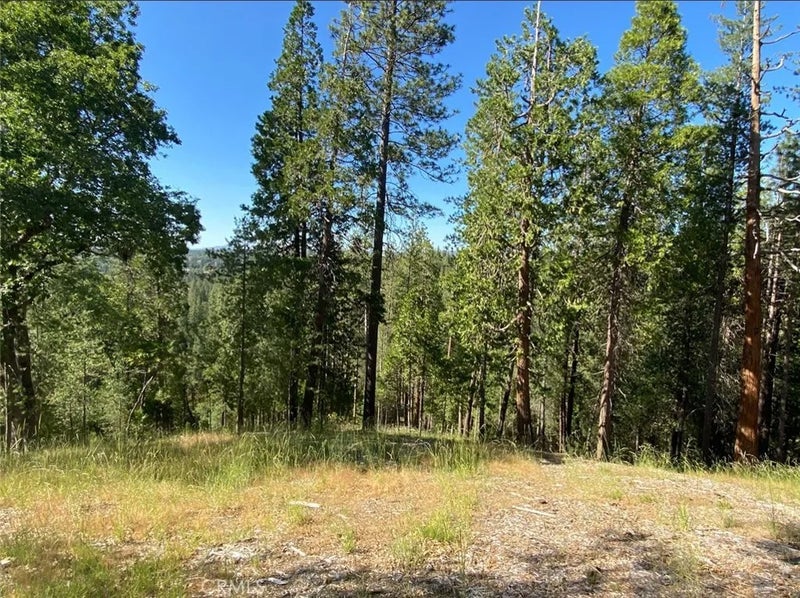 0 Pine Mountain