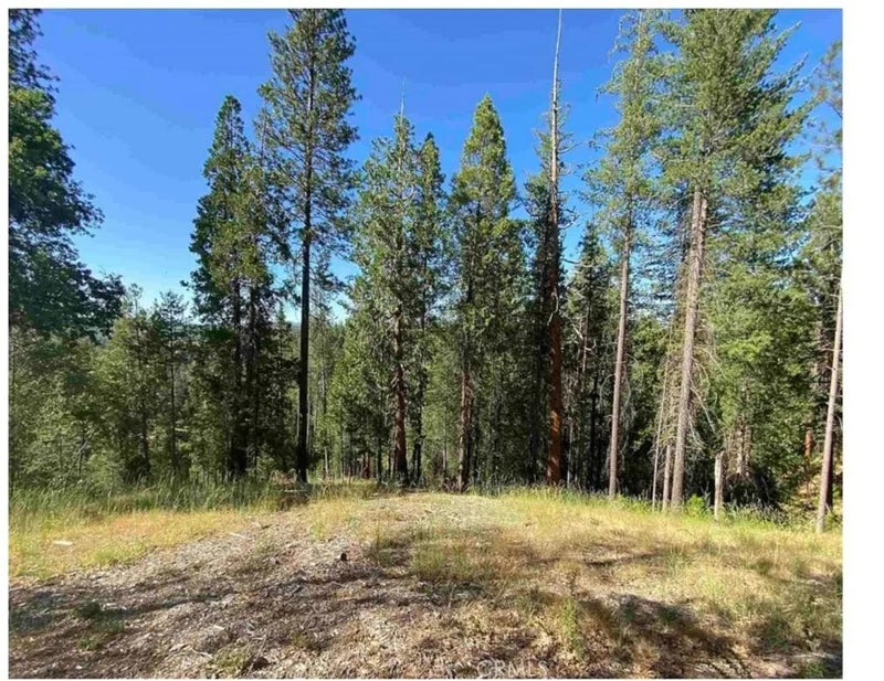 0 Pine Mountain