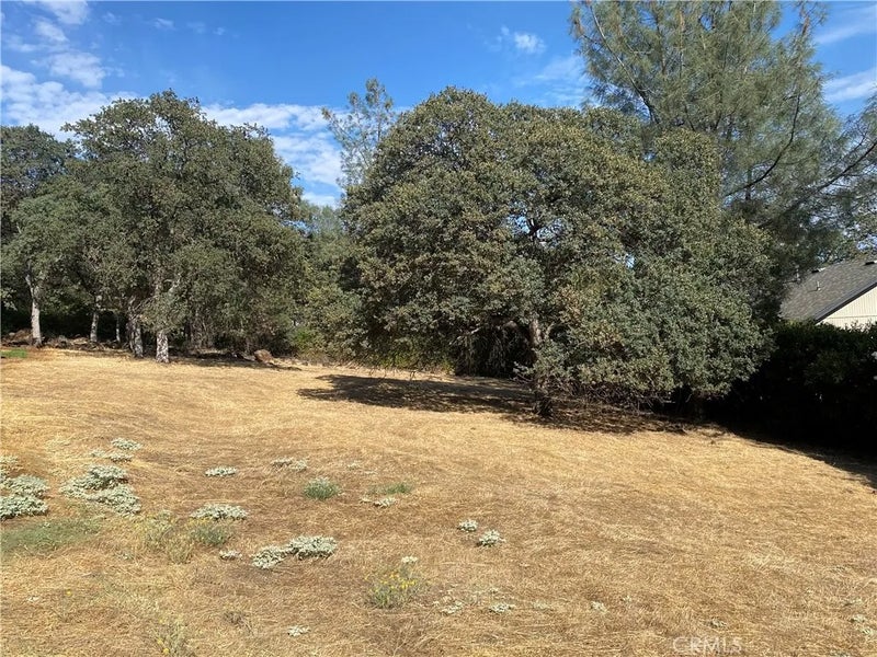 17214 Brookfield