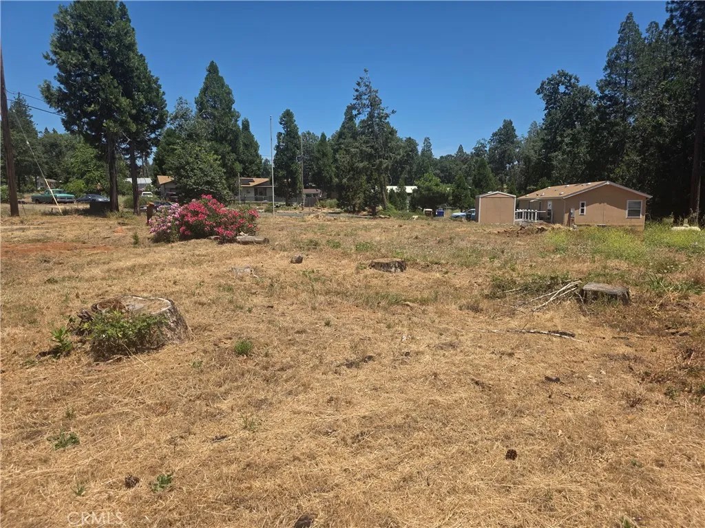 6208 Salk