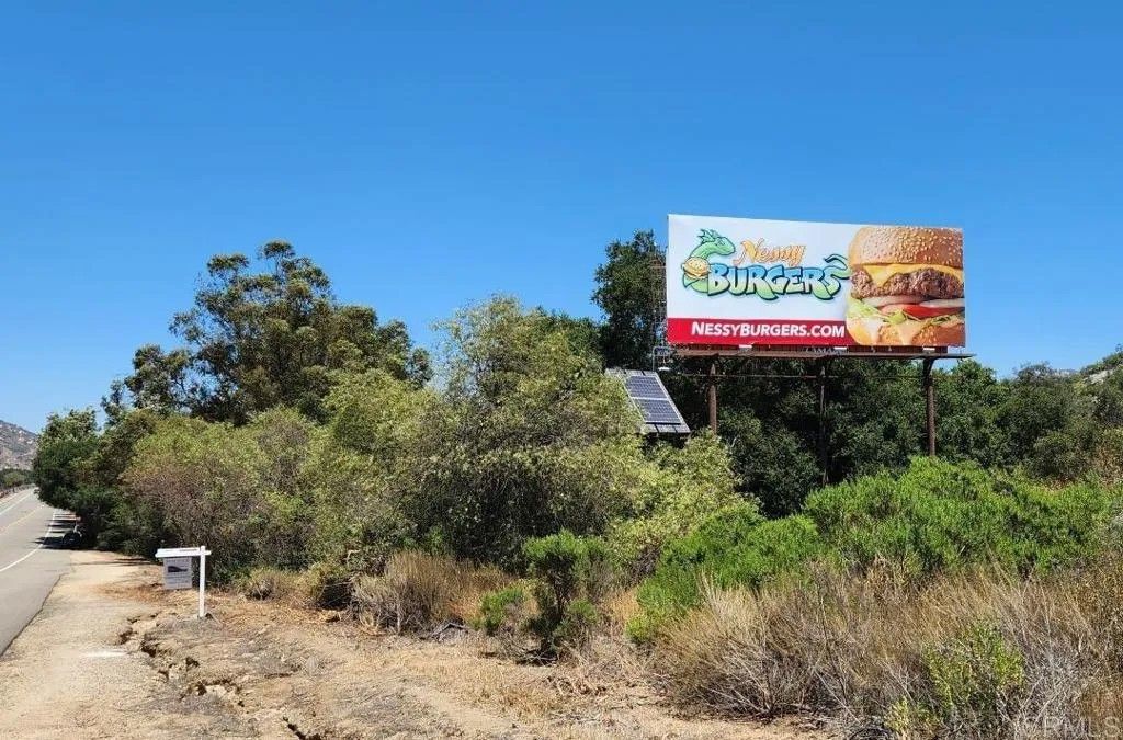 Photo of 4800 Street, Fallbrook, CA 92028 (MLS # NDP2507835)