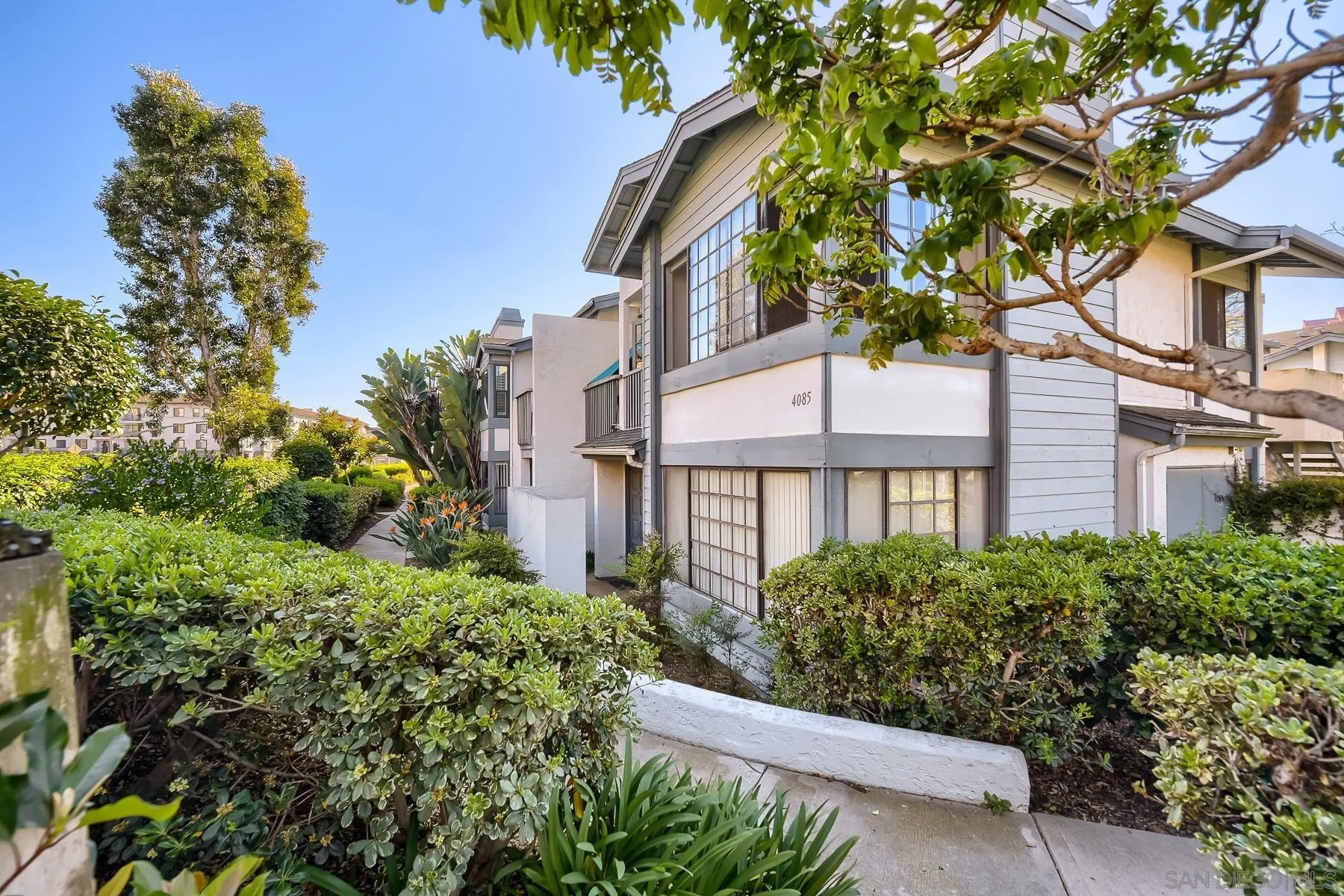 4085 Crystal Dawn 104