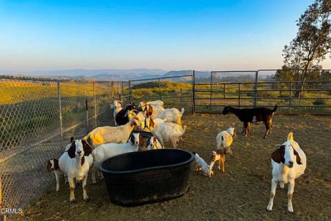 Tiny photo for 14855 Middle Ranch Road, Moorpark, CA 93021 (MLS # V1-35585)