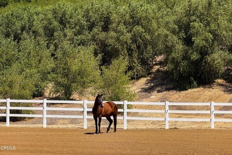 Tiny photo for 14855 Middle Ranch Road, Moorpark, CA 93021 (MLS # V1-35585)