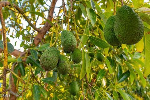 Tiny photo for 14855 Middle Ranch Road, Moorpark, CA 93021 (MLS # V1-35585)