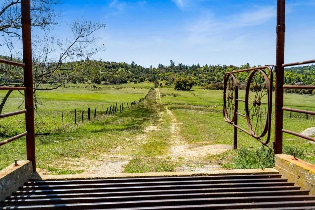 Photo of 3510 Deer Lake Park, Julian, CA 92036 (MLS # NDP2500381)