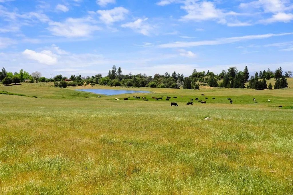 Photo of 3510 Deer Lake Park, Julian, CA 92036 (MLS # NDP2500381)