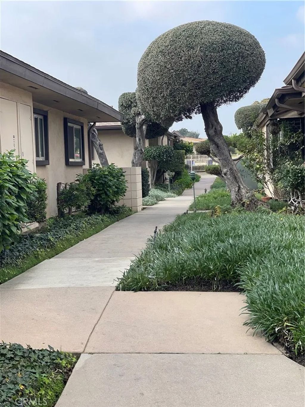 Photo of 999 E Valley Boulevard #20, Alhambra, CA 91801 (MLS # WS26015991)