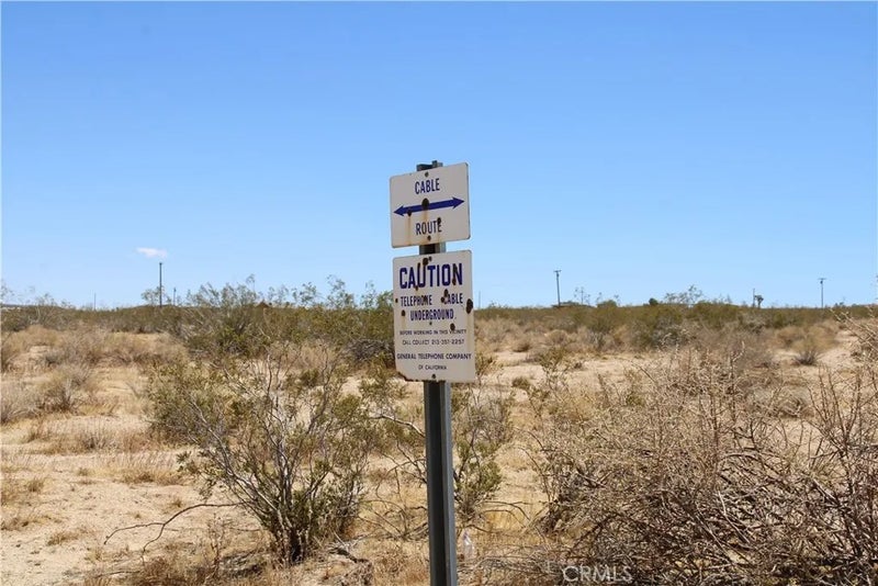 5 Joshua Tree