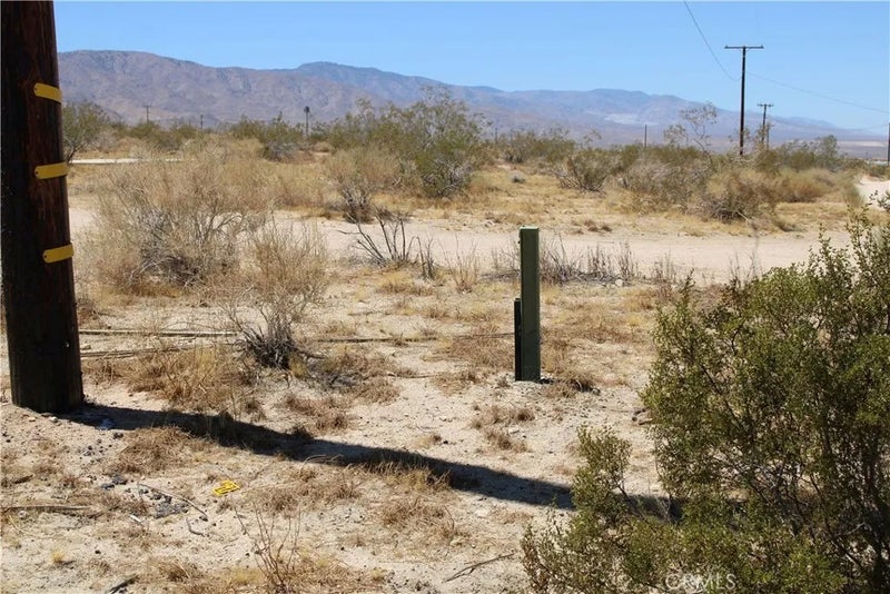5 Joshua Tree