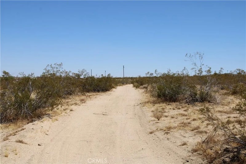 5 Joshua Tree
