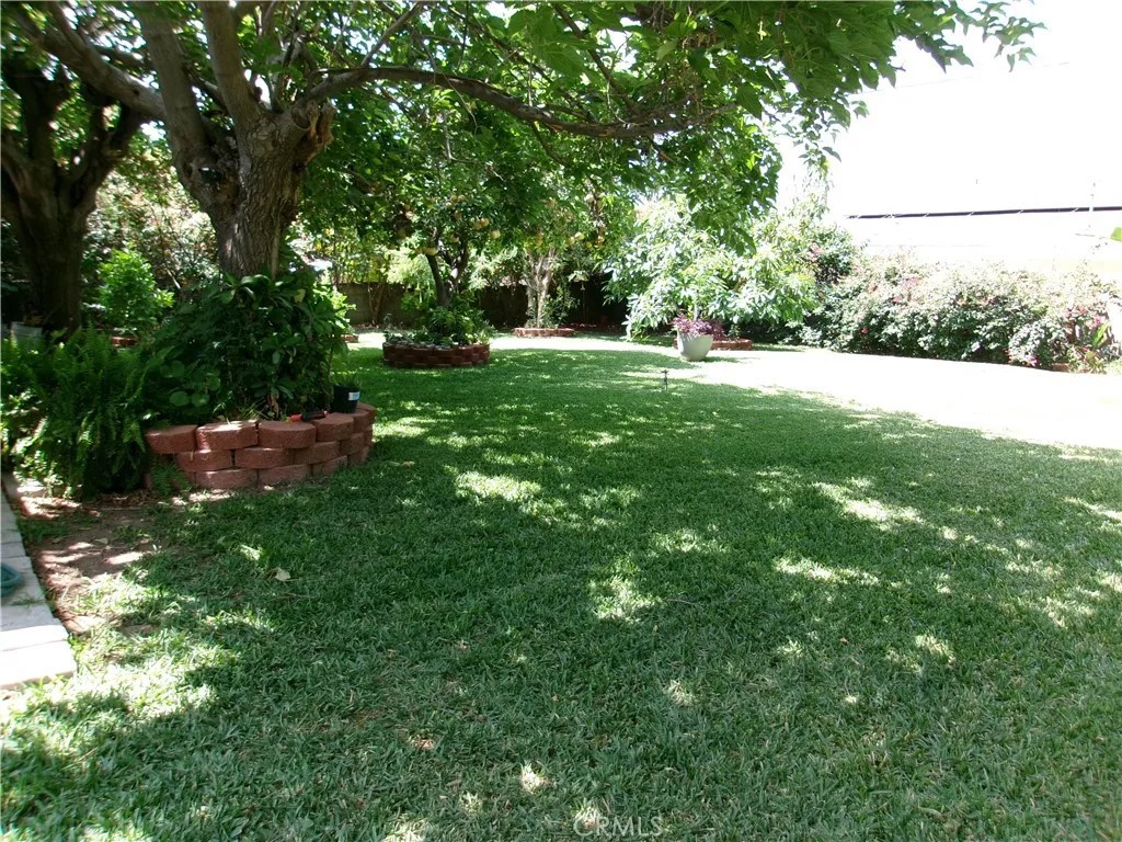 3720 Camellia
