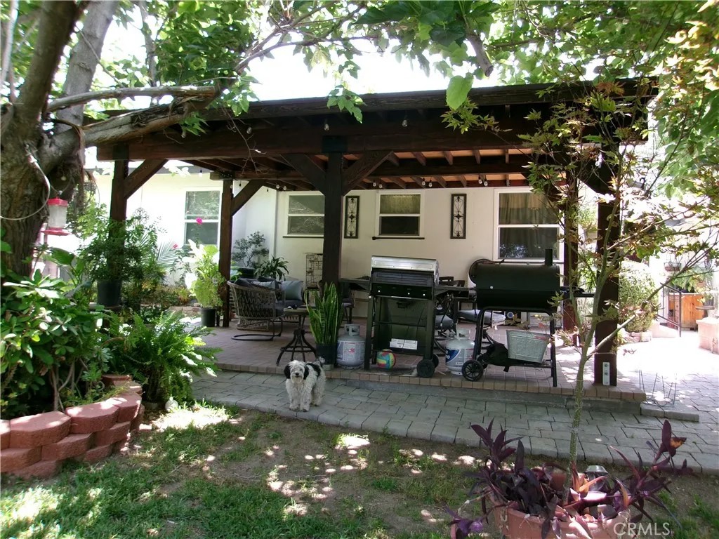 3720 Camellia
