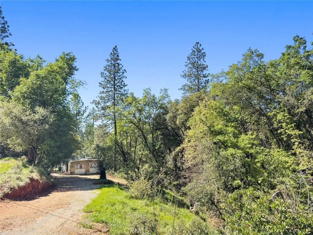 Photo of 22666 Lower Quail Mine Road, Sonora, CA 95370 (MLS # FR26066040)