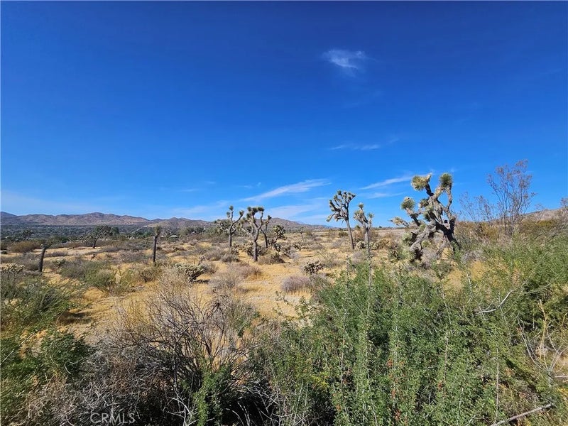 1 Sunnyslope