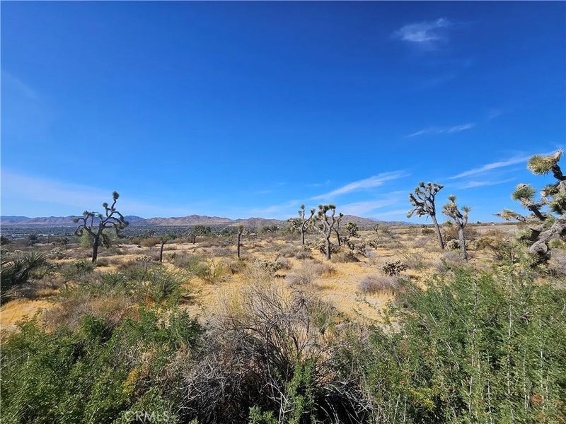 1 Sunnyslope