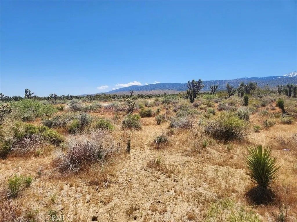 Photo of 221 Avenue U, Llano, CA 93591 (MLS # IV26035219)