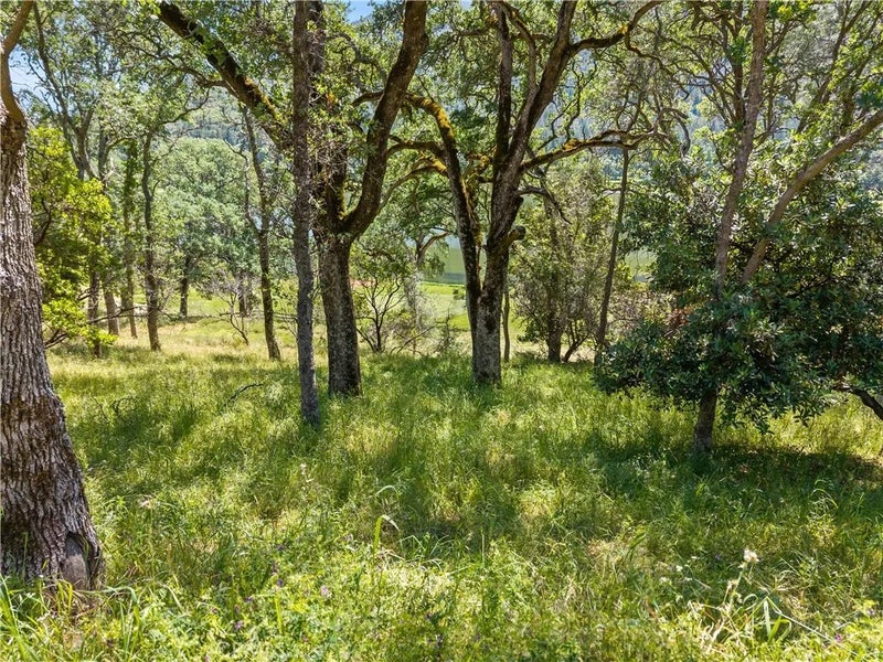 8239 Little Borax Lake Rd