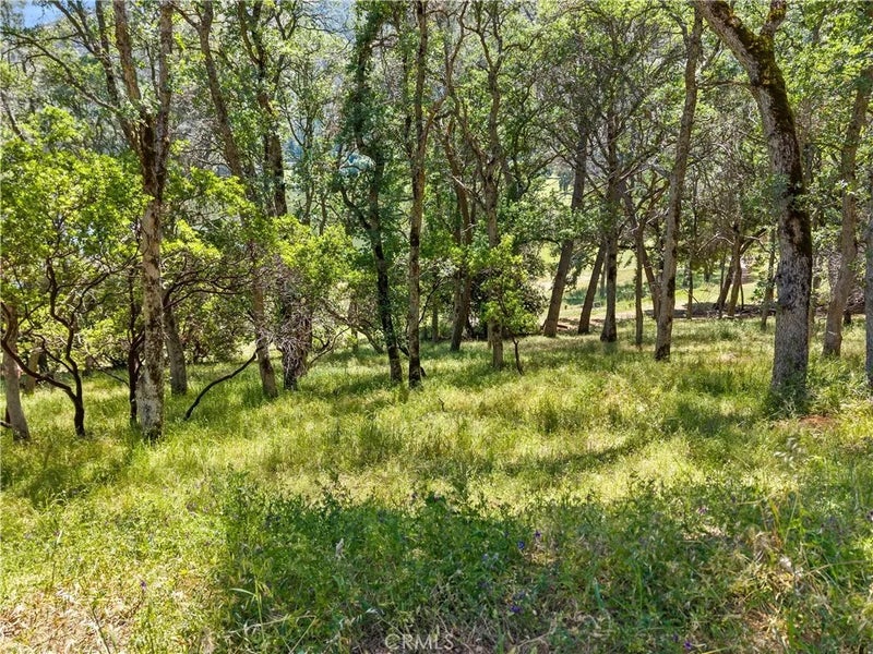 8239 Little Borax Lake Rd