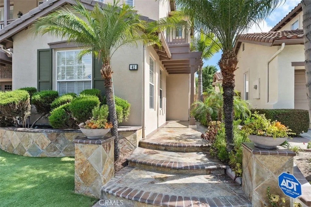 41 Carpenteria