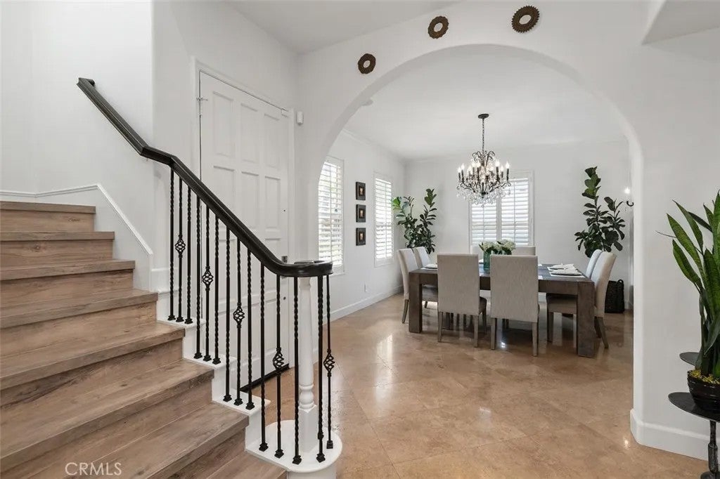 41 Carpenteria