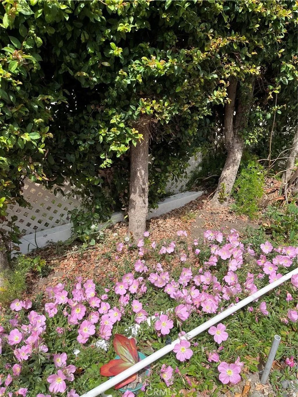 Photo of 1065 Lomita Blvd #250, Harbor City, CA 90710 (MLS # PV26078751)