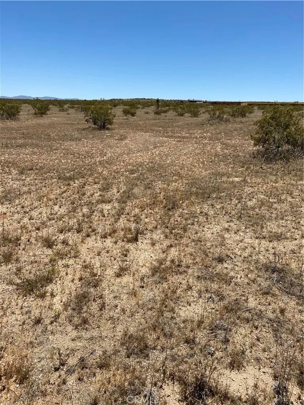 Photo of 900 Fetlock, Landers, CA 92285 (MLS # JT26025815)