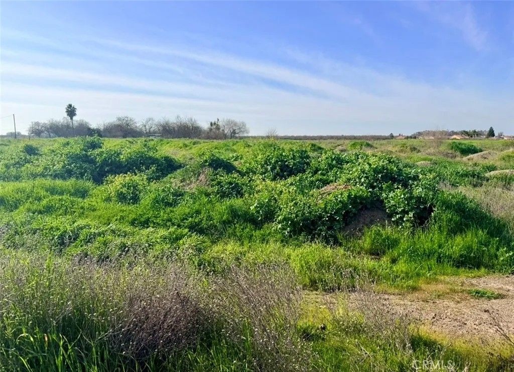 Photo of 8936 Gerard Ave, Le Grand, CA 95333 (MLS # MC26049931)