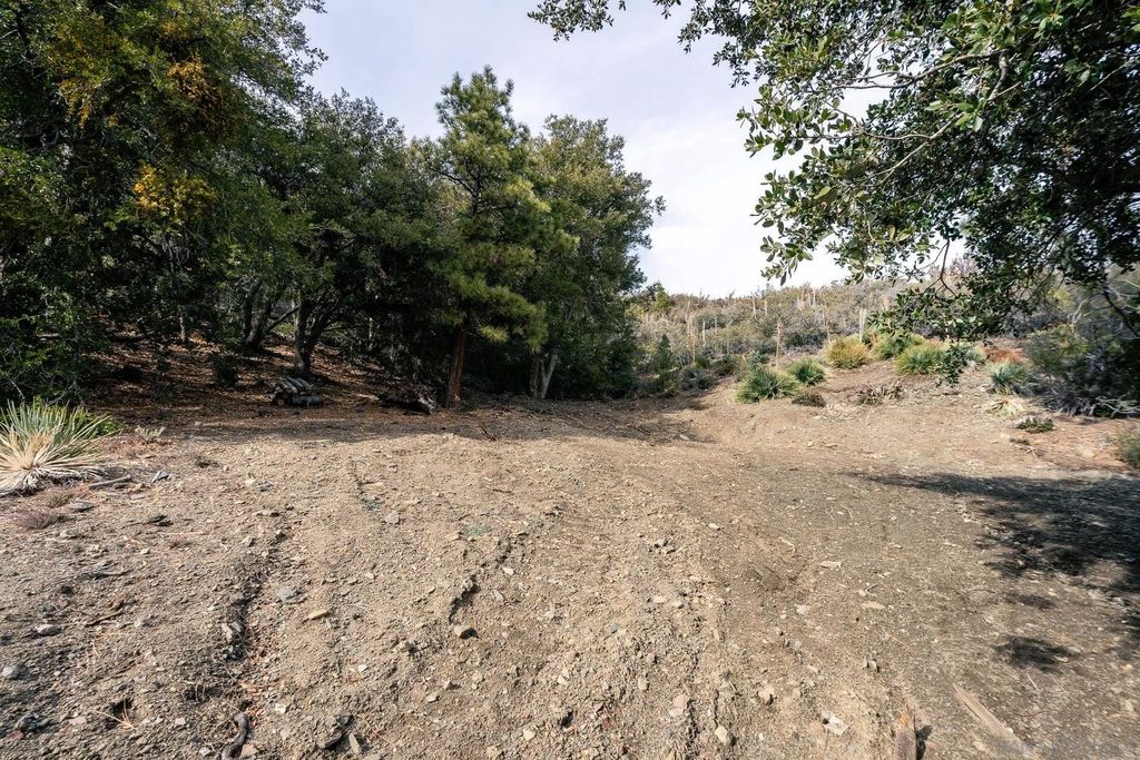 Photo of 0 Timberline Dr, Wrightwood, CA 92397 (MLS # 250046392)