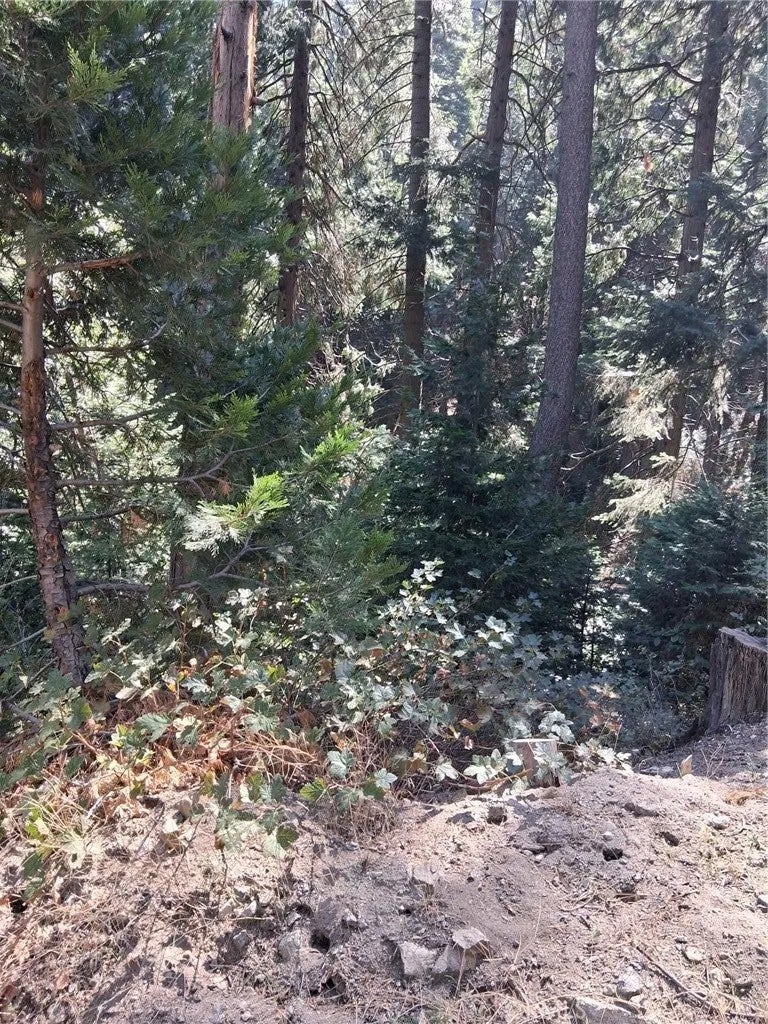 14 Burnt Mill Canyon