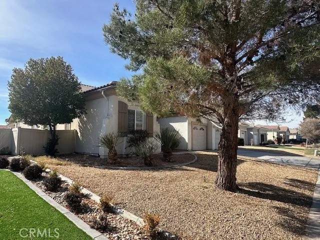 19721 Chicory Court