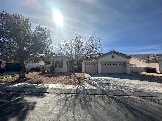 19721 Chicory Court